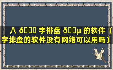 八 🕊 字排盘 🌵 的软件（八字排盘的软件没有网络可以用吗）